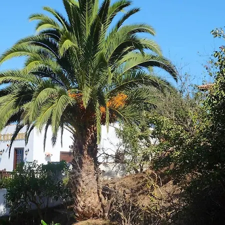 Apartmán Charming In Silos, 80m² With Terrace Los Silos