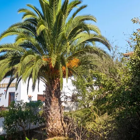 Charming In Silos, 80m² With Terrace Apartment *